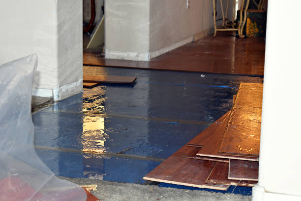 Professional Burst Pipe Cleanup technician working in Panna Maria, TX