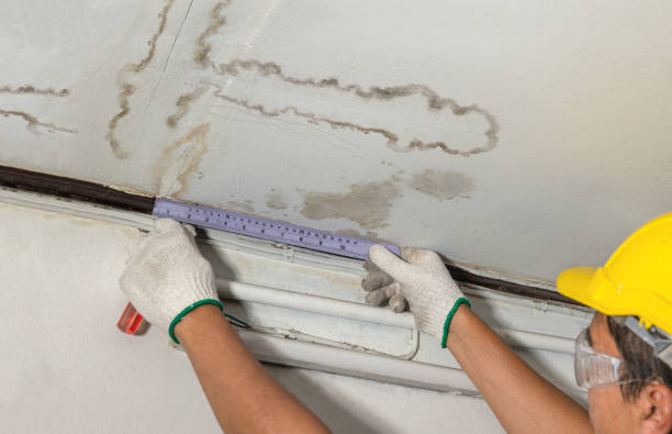 Reliable Burst Pipe Cleanup contractor in Panna Maria, TX by Water Damage Irwin